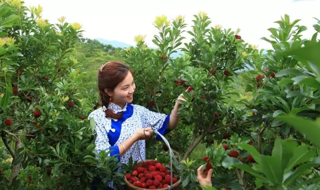 刮目相看话长汀三洲