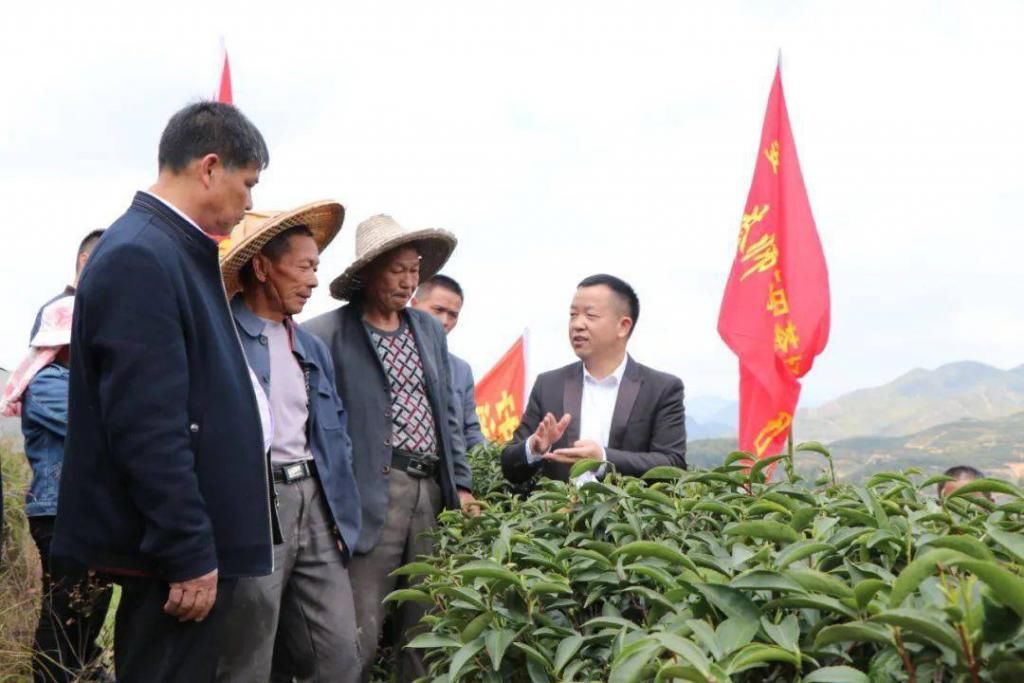 安溪县“土专家”“田秀才”念好扶贫经