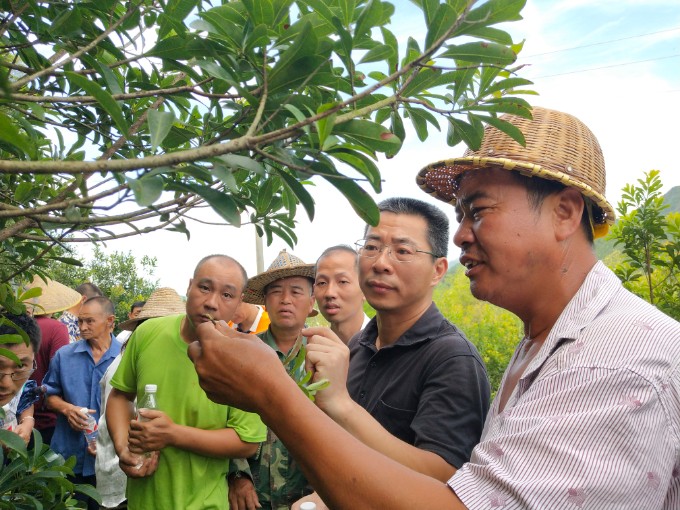 在邵武市春暖社工的链接下，福建省农科院果树研究所张泽煌研究员亲临现场，对杨梅种植管理技术进行全面指导。.jpg