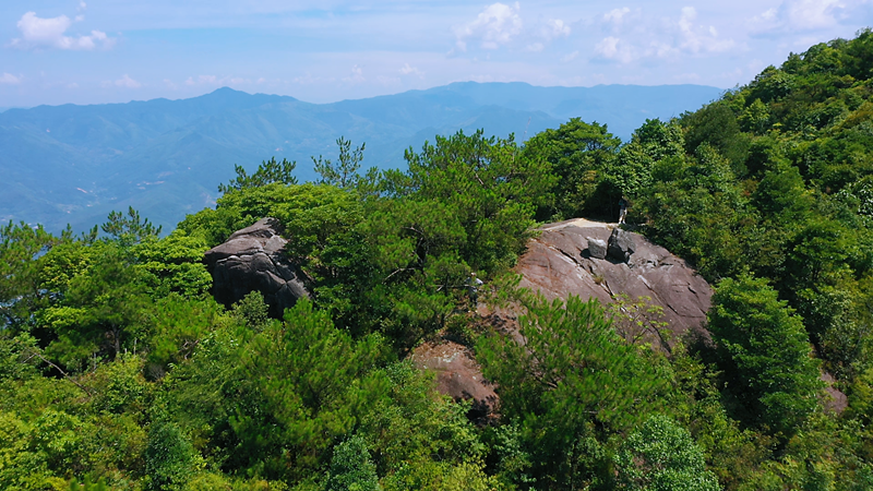 走进省级革命老区基点村——梧溪村