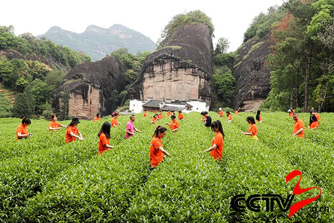 武夷山做好茶旅融合这篇文章